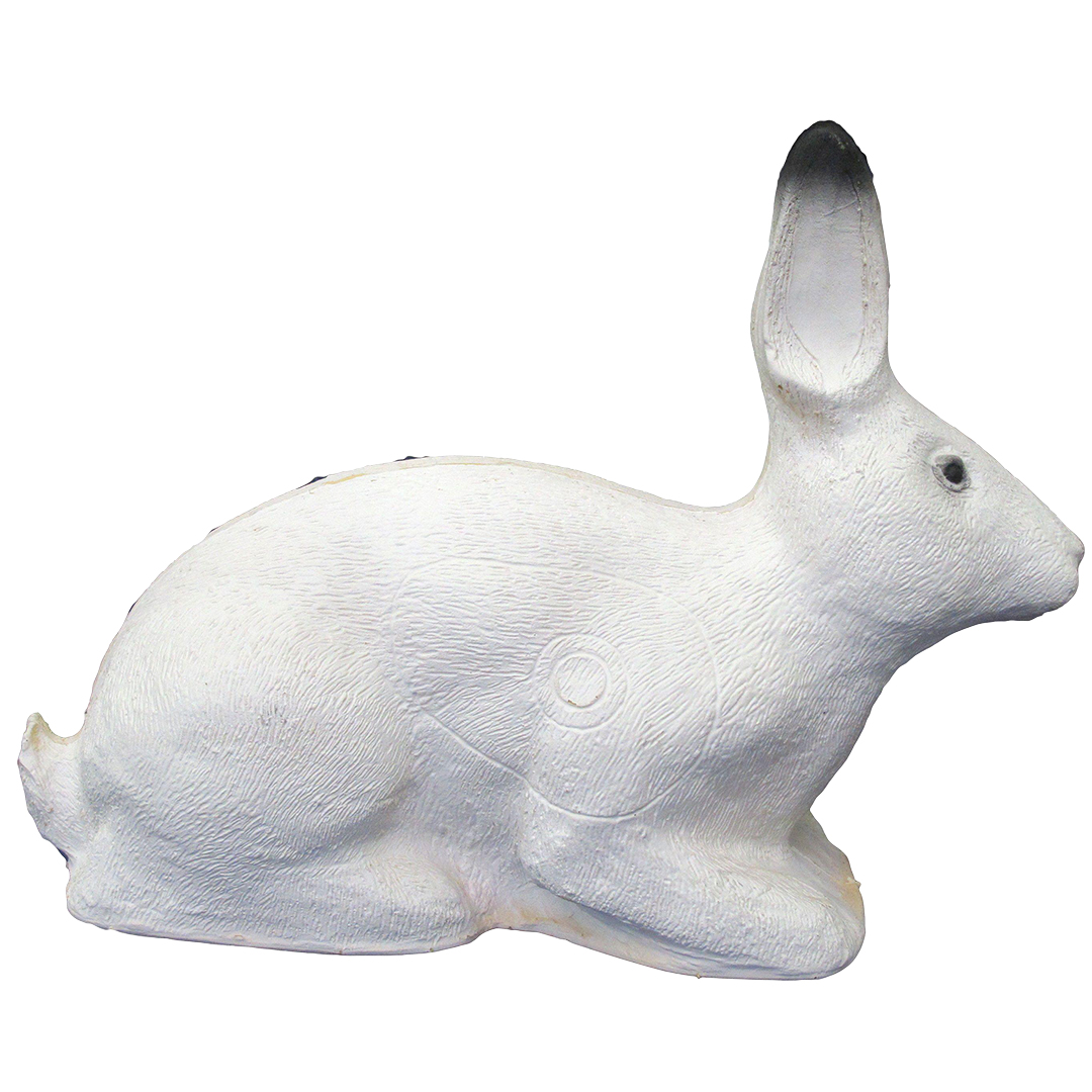 SRT Target 3D Polar Rabbit