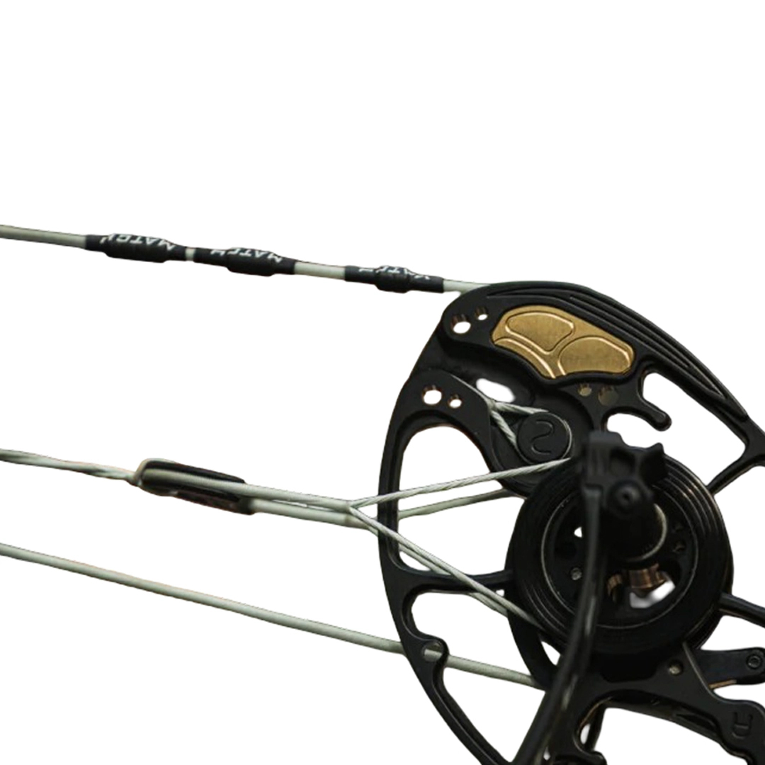 Mathews String Compound Match