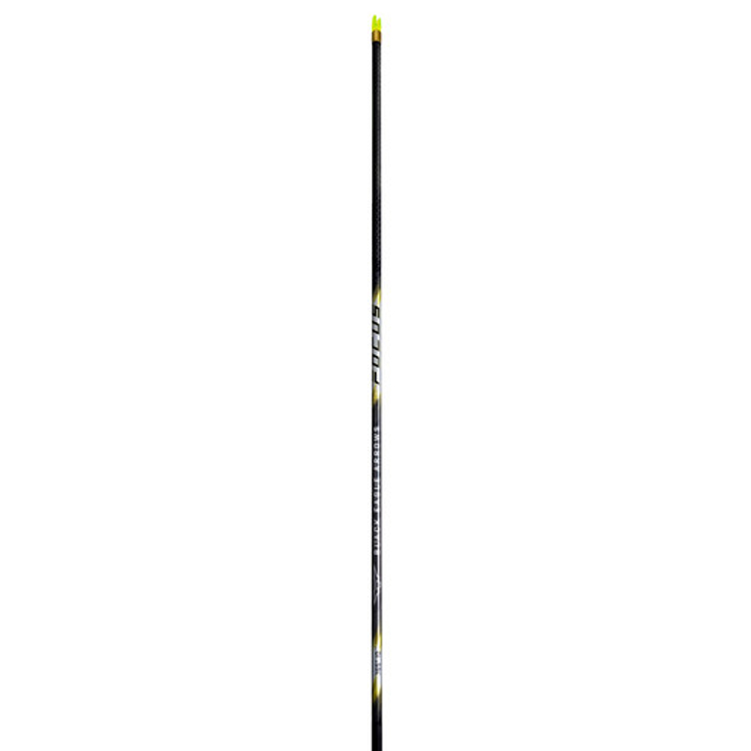 Black Eagle Shaft FOCUS .001