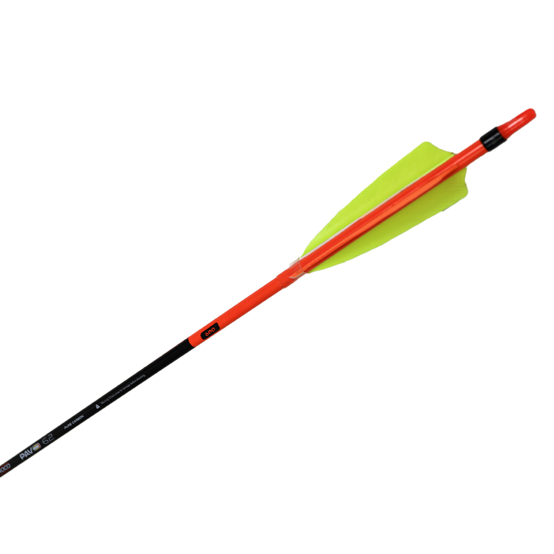Shocq Fletched Arrow Pavo 6.2 4