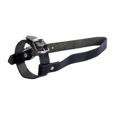 A & F Bowsling with Buckle