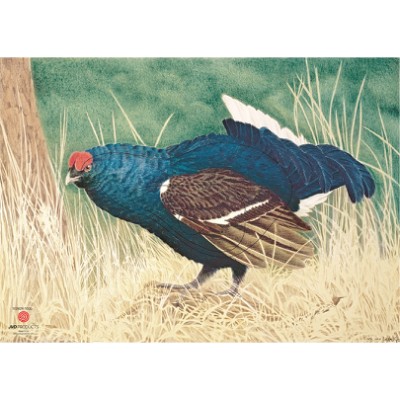 JVD Target Face Animal Blue-Grouse