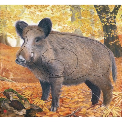 JVD Target Face Animal Wild Boar