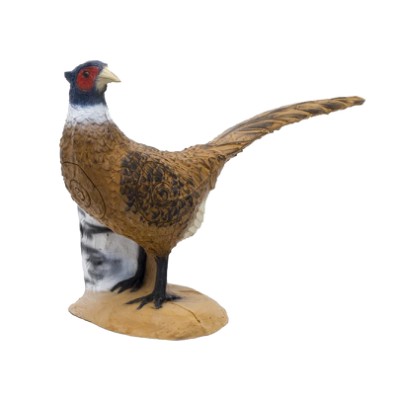 SRT Target 3D Pheasant