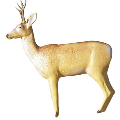 Eleven Target 3D Deer with Horns