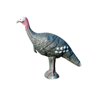 Eleven Target 3D Turkey