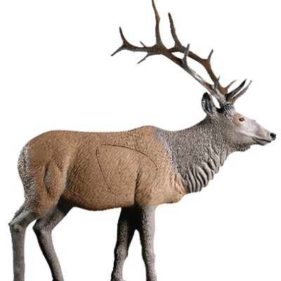 Rinehart Target 3D Standing Elk (2 boxes)