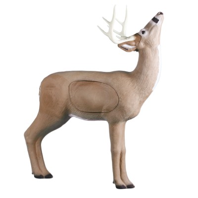 Rinehart Target 3D Deer Browsing Buck