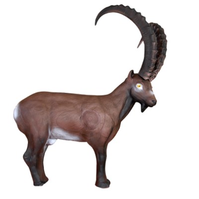 Eleven Target 3D Ibex with Insert and Horns