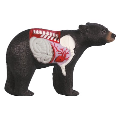 Rinehart Target 3D Anatomy Bear