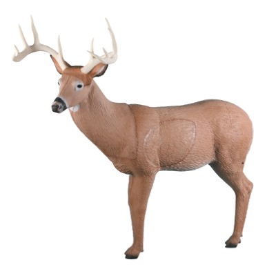 Rinehart Target 3D Big Ten Buck