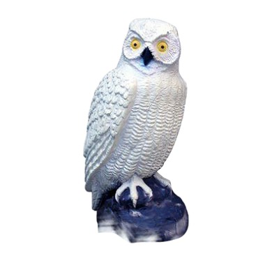 SRT Target 3D White Owl