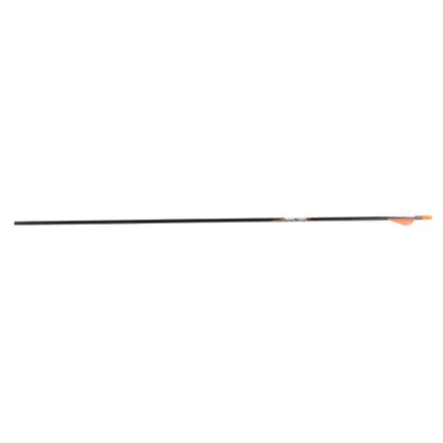 Easton Arrow Carbon PowerFlight | Unit 12