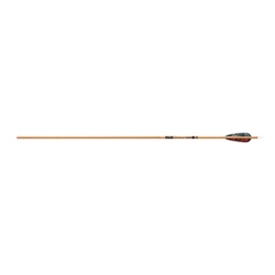 Gold Tip Arrow Carbon Hunting Fletched Traditional | Unit 72