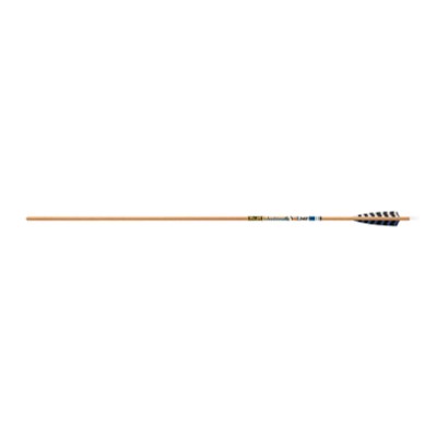 Gold Tip Arrow Carbon Hunting Fletched Traditional XT