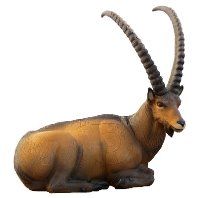 SRT Target 3D Ibex Bedded