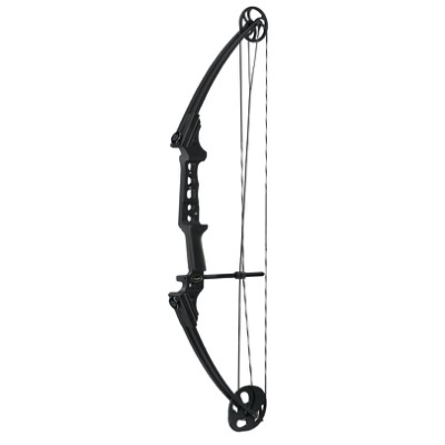 Genesis Compound Bow Gen X