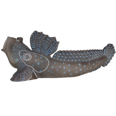 SRT Target 3D Saltafango Mudskipper