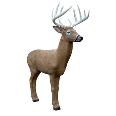 Rinehart Target 3D Midwest Buck