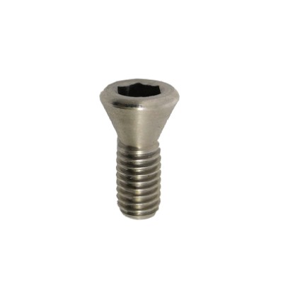 Gillo Limb Bolt Locking Screw Stainless Steel